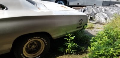 20180724_101811.jpg