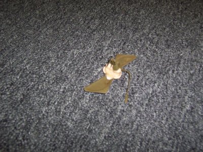 100_3623.jpg