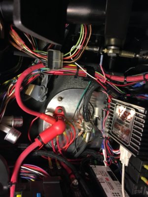 IMG_4342.JPG IMG_4342.JPG