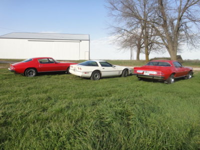 DSC00113.JPG DSC00113.JPG