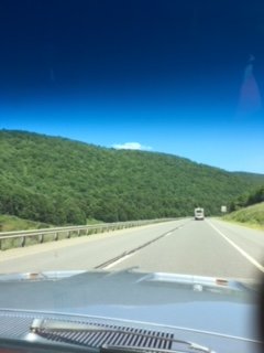 IMG_0436.JPG IMG_0436.JPG