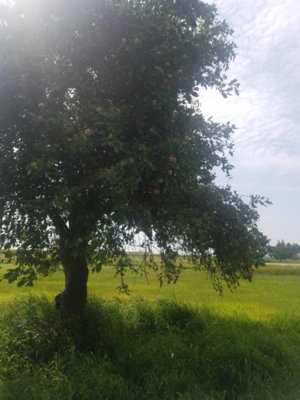20180801_105841.jpg