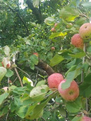 20180801_105702.jpg