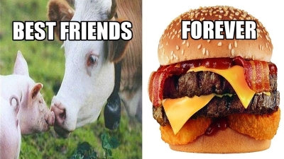 Savage-Memes-To-Troll-Your-Vegan-Friends-1.jpg