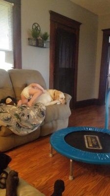 20180714_121626.jpg