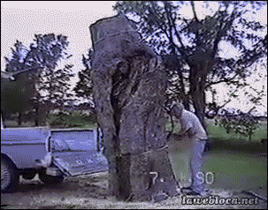 tumblr_obe890lf0T1t05bhqo1_400.gif