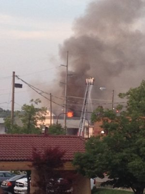 photo 1 - Copy (3).JPG photo 1 - Copy (3).JPG