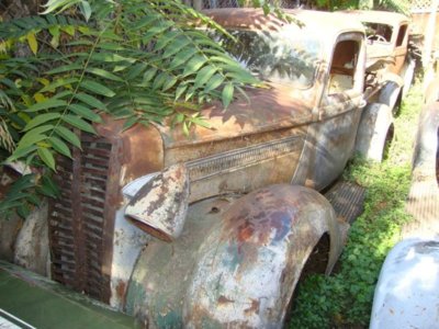 DSC08146.JPG DSC08146.JPG