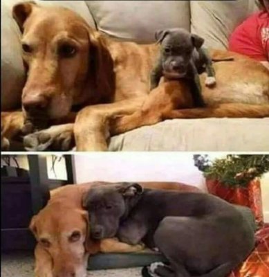 39278356_1995479863848057_6779052715013046272_n - Copy.jpg