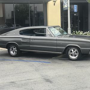 ralphs i phone 7 499.JPG