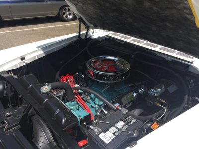 D2FE035E-092A-445D-ABE1-B16AE85F92FA.jpeg D2FE035E-092A-445D-ABE1-B16AE85F92FA.jpeg