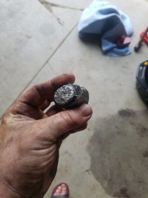 20180818_170517.jpg