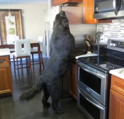 newfie.jpg newfie.jpg