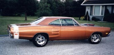 andybee4.jpg andybee4.jpg