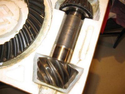 danagears (Large).jpg