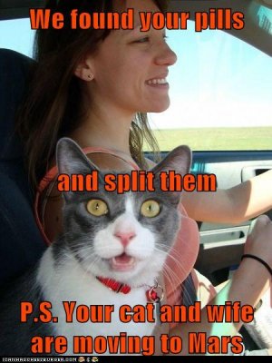 funny-cat-pictures-we-found-your-pills-and-split-them-p-s-your-cat-and-wife-are-moving-to-mars.jpg