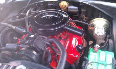 IMAG0201.jpg