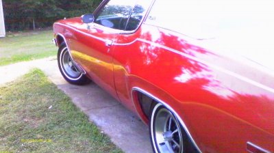 IMAG0095.jpg