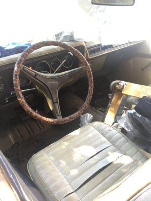 IMG_4491.JPG IMG_4491.JPG