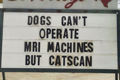 2018-best-funny-memes-catscan-jokes.jpg