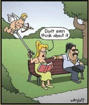 42160640_2528961087330125_8697632005048762368_n.jpg 42160640_2528961087330125_8697632005048762368_n.jpg