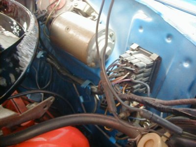 P1010298[1] (600 x 450).jpg