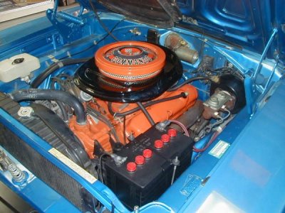 P1010299[1] (600 x 450).jpg