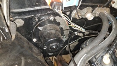 20181003_060447.jpg