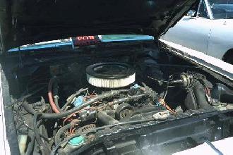 77_E_SM.jpg 77_E_SM.jpg