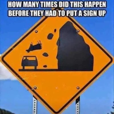Cow falling.jpg
