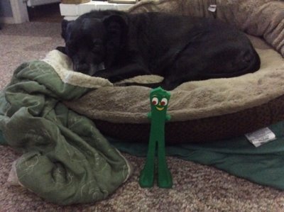 C9488E50-B8EB-4F1C-8B42-AE533A54E86E.jpeg C9488E50-B8EB-4F1C-8B42-AE533A54E86E.jpeg