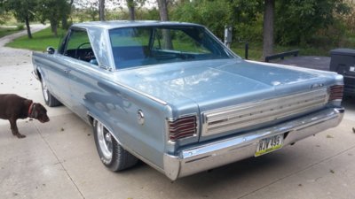 1003181346d.jpg 1003181346d.jpg