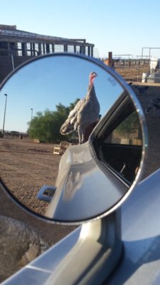 20181009_170823.jpg 20181009_170823.jpg