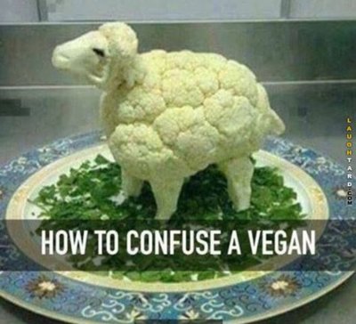 c295a453c3a70854649d0da71c16c6bc--food-for-thought-vegans.jpg