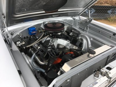 IMG_4686.JPG IMG_4686.JPG