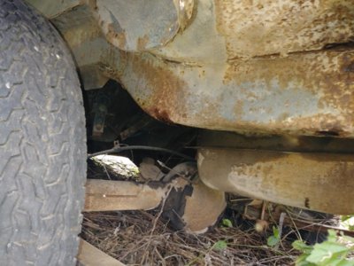 1015181326c.jpg 1015181326c.jpg