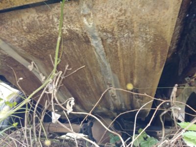 1015181326d.jpg 1015181326d.jpg