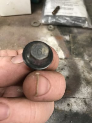 2093F0F8-0F97-478C-AB3F-6EAF75128A90.jpeg 2093F0F8-0F97-478C-AB3F-6EAF75128A90.jpeg