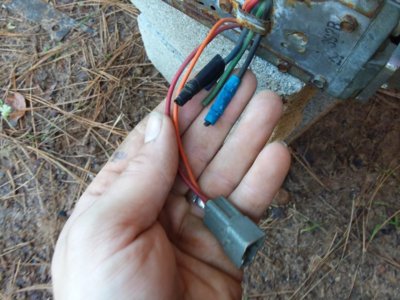 20181028_115648.jpg 20181028_115648.jpg