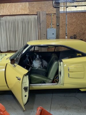 0CEB3557-7ABD-4070-824F-D81840CC0473.jpeg 0CEB3557-7ABD-4070-824F-D81840CC0473.jpeg