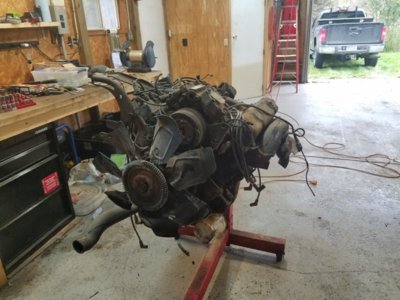 20181027_171208.jpg 20181027_171208.jpg