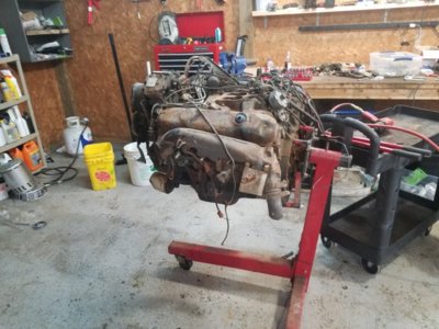 20181027_171203.jpg 20181027_171203.jpg