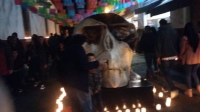 20181101_194229.jpg 20181101_194229.jpg