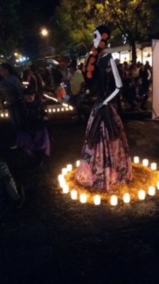 20181101_193142.jpg 20181101_193142.jpg