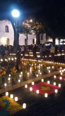 20181101_193137.jpg 20181101_193137.jpg