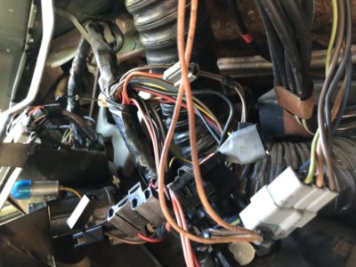 603CFC15-F3B4-41BF-A5E3-244B2C8E7312.jpeg 603CFC15-F3B4-41BF-A5E3-244B2C8E7312.jpeg