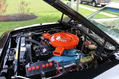 IMG_7060 (Large).JPG IMG_7060 (Large).JPG