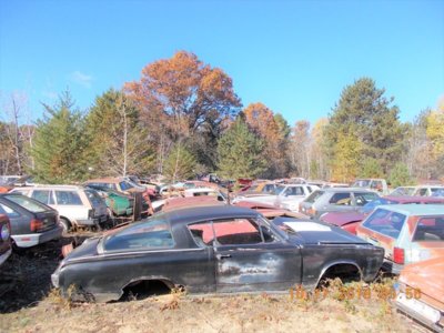 DSCN2699 (2).JPG DSCN2699 (2).JPG