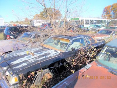 DSCN2690 (2).JPG DSCN2690 (2).JPG