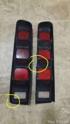 pic6.jpg